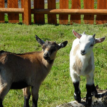 Hotel & Freizeitpark Am Laerchenberg Schirgiswalde-Kirschau Dış mekan fotoğraf