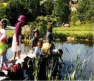 Hotel & Freizeitpark Am Laerchenberg Schirgiswalde-Kirschau Dış mekan fotoğraf